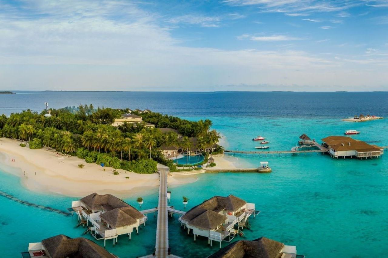 Machchafushi 1 (10a) (3)