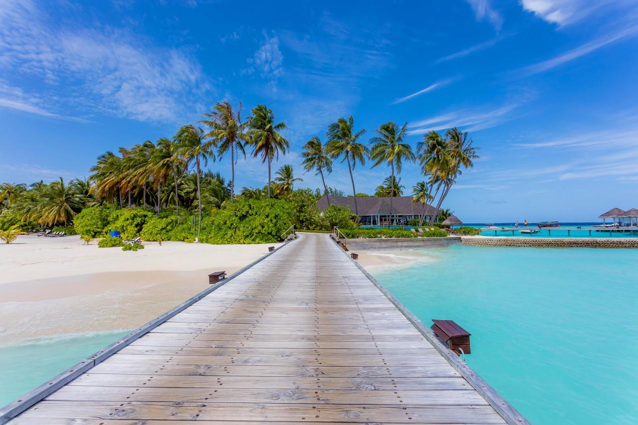 Machchafushi 1 (10a) (4)