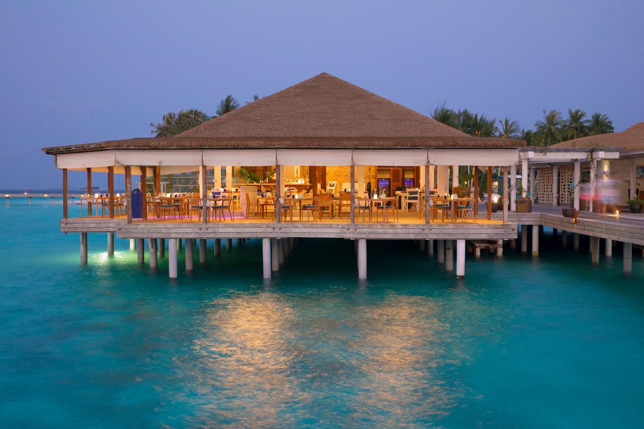 Machchafushi 5 (1)