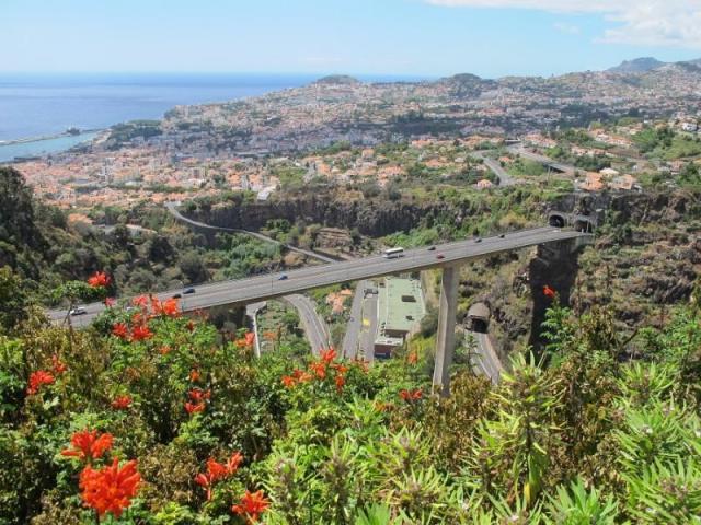 Madeira_kvetiny-doprava.jpeg