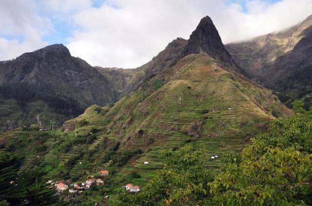 Madeira_pole.jpeg