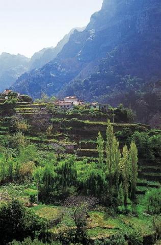 Madeira_04-110-1-1-1.jpeg