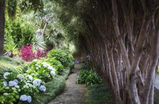 Madeira květinová a turistická