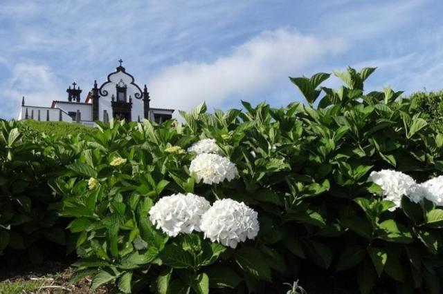 Azorské_ostrovy_Sao_Miguel_pěší_turistika_v_zeleném_ráji_portug