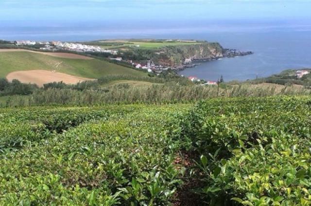Azorské_ostrovy_Sao_Miguel_pěší_turistika_v_zeleném_ráji_portug