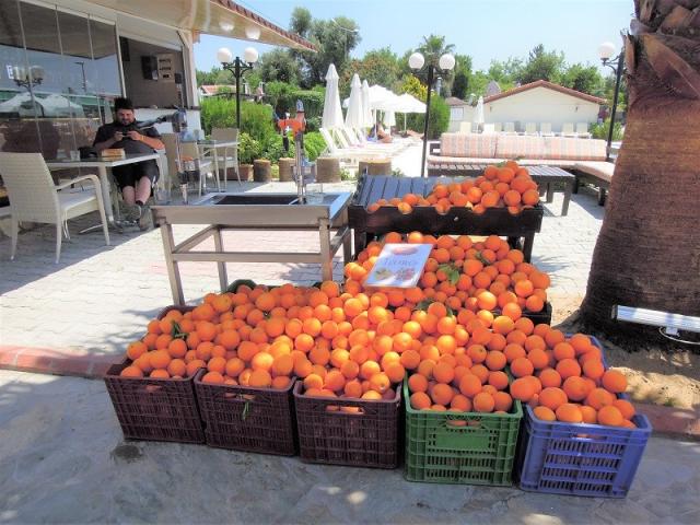 Turecko_Side_Hotel_Altinkum_Beach_30.jpeg