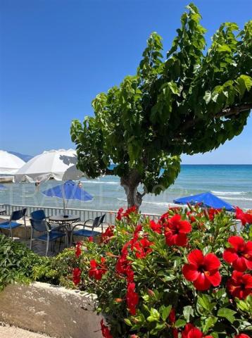 Řecko_Zakynthos_Alykes_hotel_Astoria_203V1.jpg