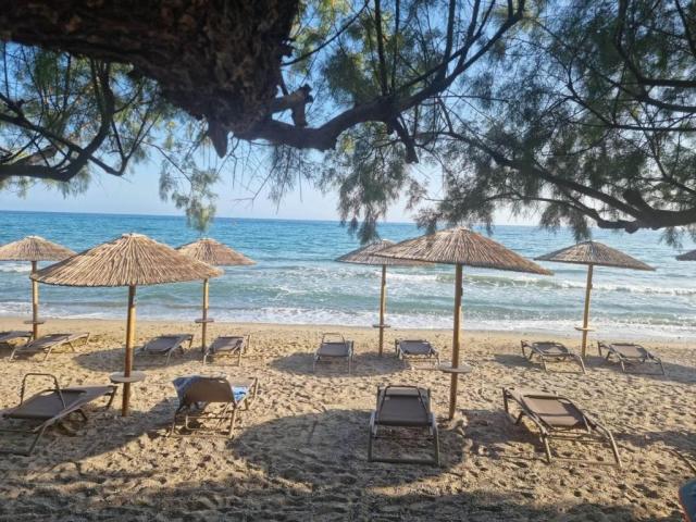 Řecko_Kréta_Makrigialos_hotel_Artemis_239.jpg