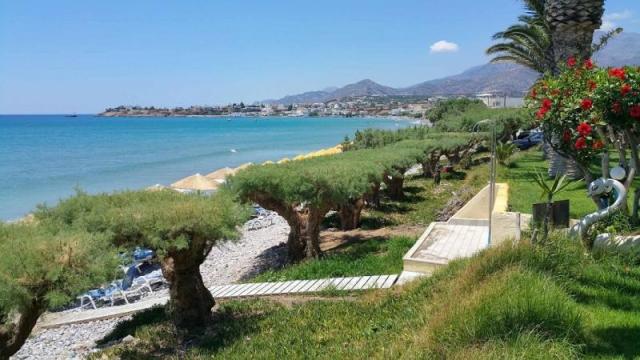 recko-kreta-makrigialos-evora.jpeg