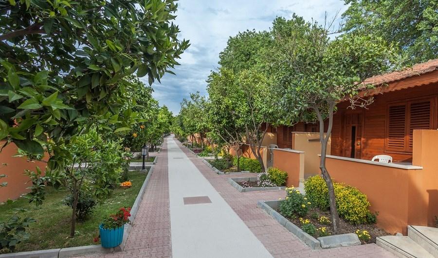 Özlem Garden
