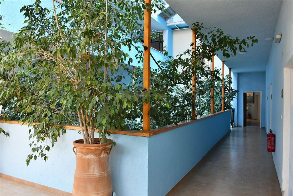 Řecko_Zakynthos_Alikanas_Hotel Valais_29.jpg
