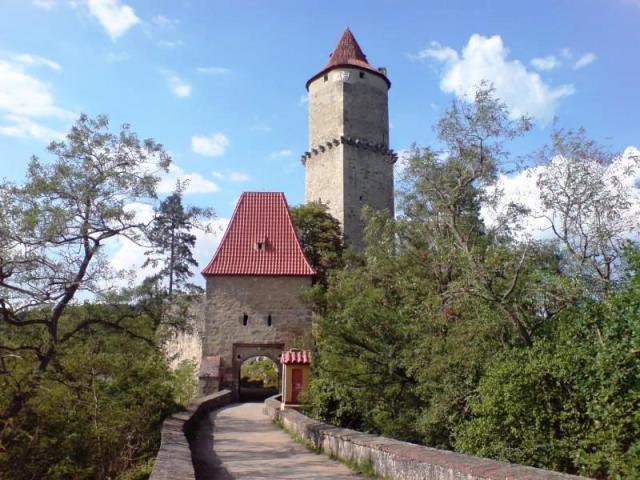 jizni_cechy_zvikov-6.jpeg
