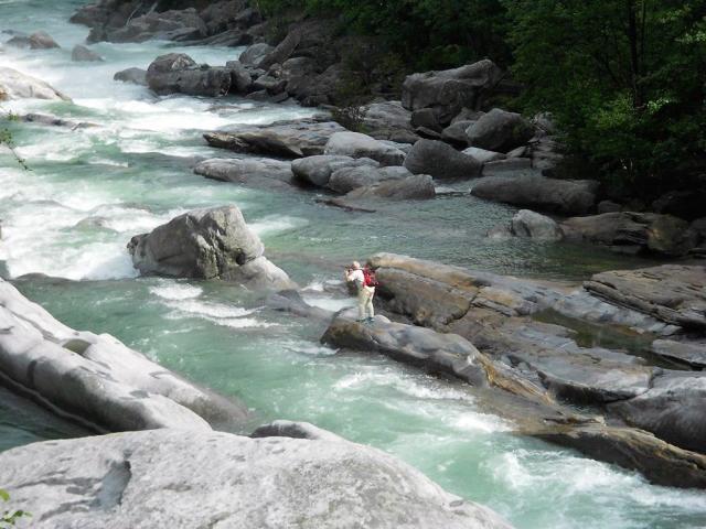 vinice-palmy-lavertezzo-11.jpeg
