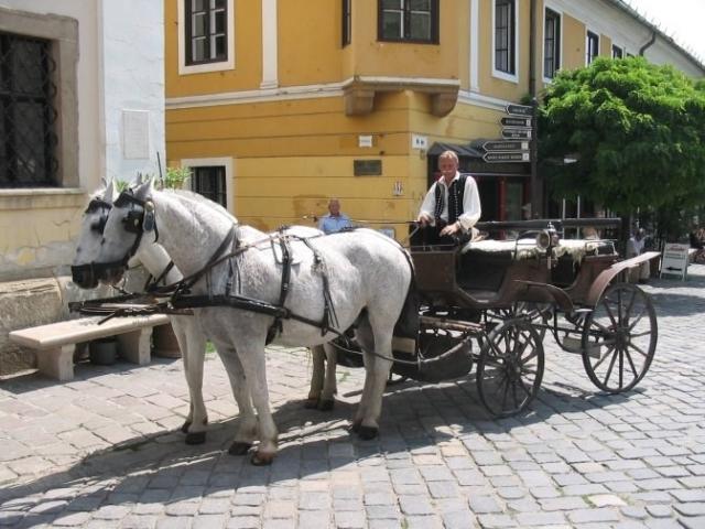 tokajske_dobrodruzstvi_szentendre-3.jpeg