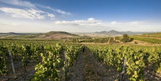 Tokajské dobrodružství v Uhrách a na Slovensku