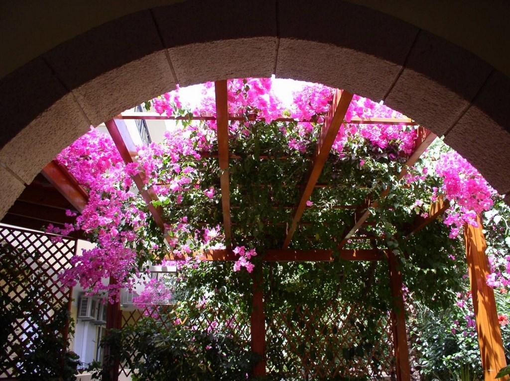 Řecko_Rhodos-Hotel_Summer_Memories_26.jpg
