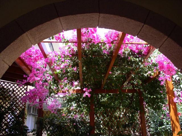 Řecko_Rhodos-Hotel_Summer_Memories_26.jpg