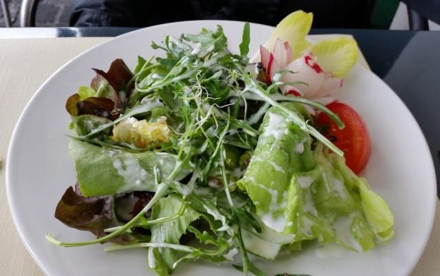 ALSASKO_ŠVÝCARSKO_A_ČERNÝ_LES_salat.jpeg