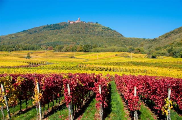 dreamstime_l_105311746.jpg