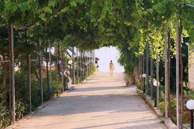 Řecko_Zakynnthos_Kypseli_hotel_Belussi_Beach_227.jpg