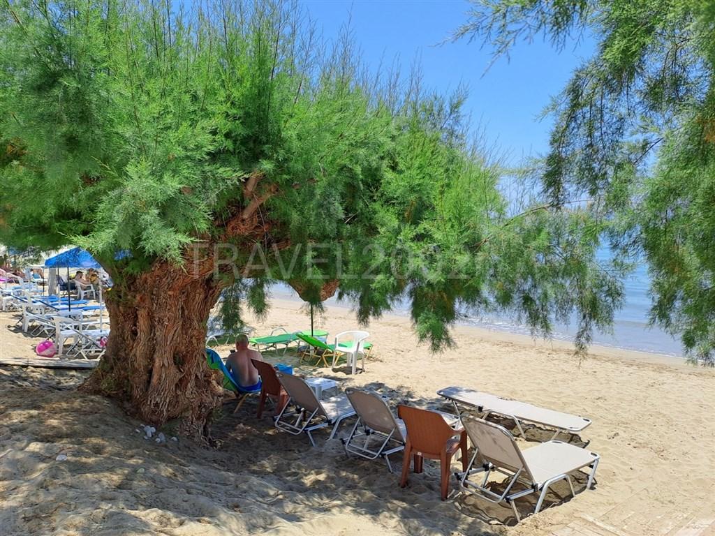 Řecko_Kréta_Makrigialos_Creta_Sun_Beachfront_325.jpg