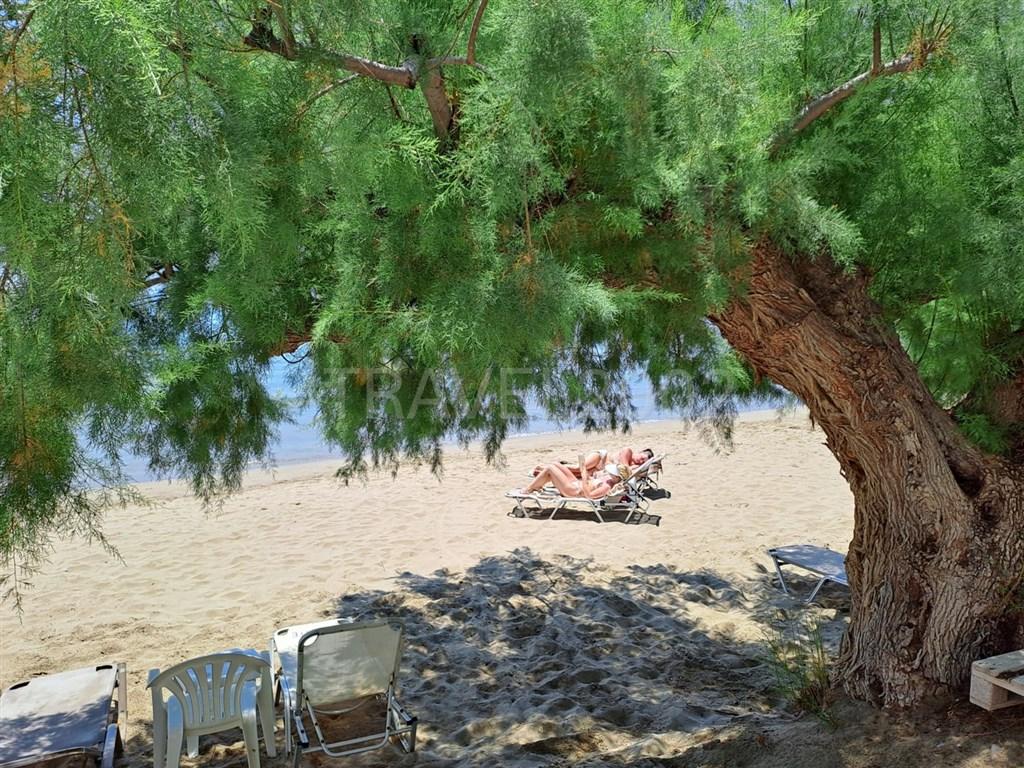 Řecko_Kréta_Makrigialos_Creta_Sun_Beachfront_326.jpg