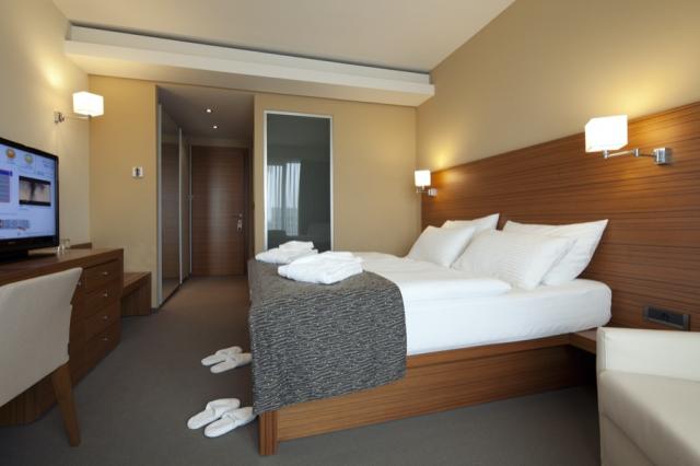 Bohinj ECO Hotel Executive Room
