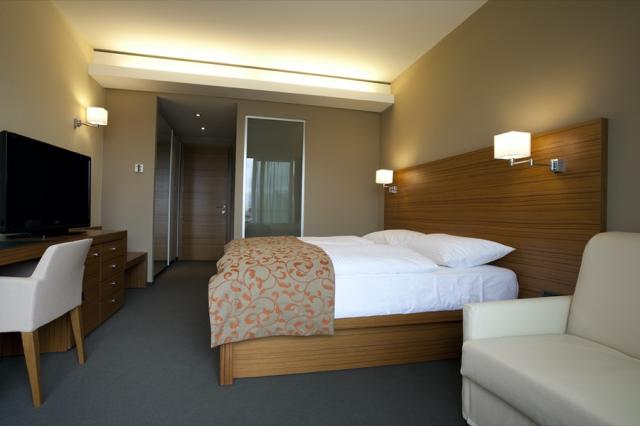 Bohinj ECO Hotel Superior room