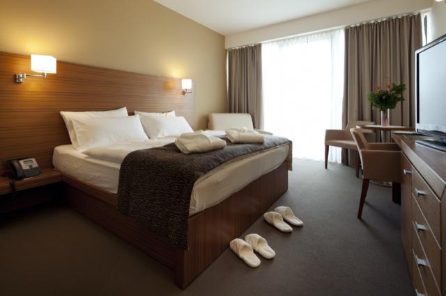 Bohinj ECO Hotel Executive Room