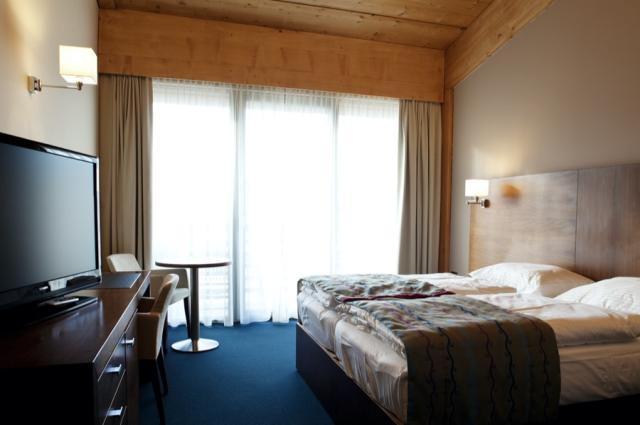 Bohinj ECO Hotel Executive Room