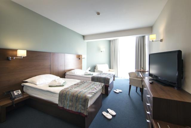 Bohinj ECO Hotel Executive Room