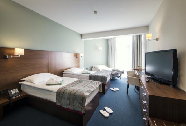 Bohinj ECO Hotel Executive Room
