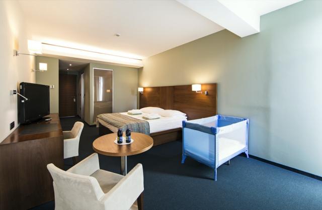 Bohinj ECO Hotel Executive Room