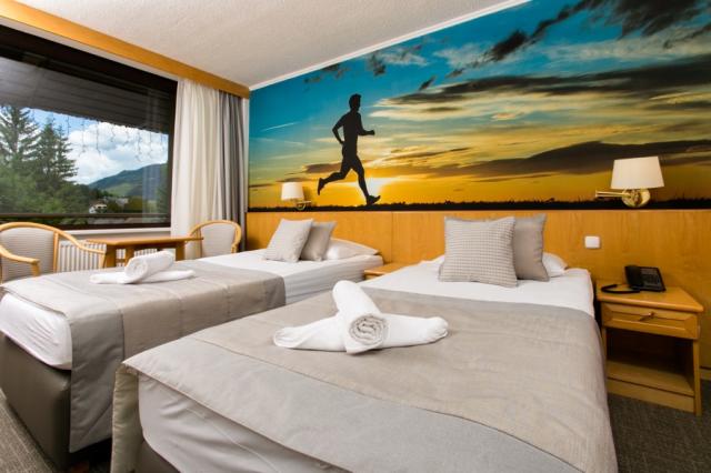 Hotel Kompas, Standard pokoj