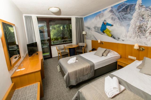 Superior room mountain view