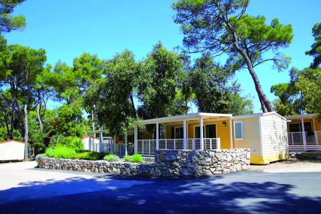 MBH Dalmatia