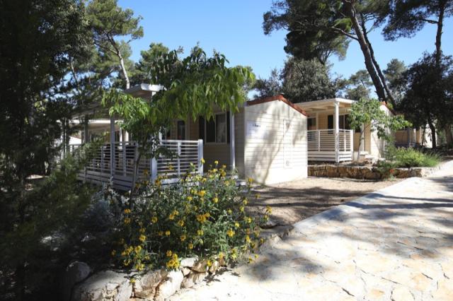 MBH Dalmatia