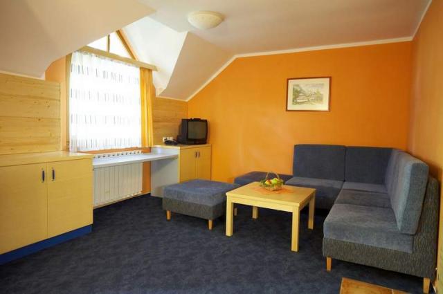 Apartmán 1/2+2, denní místnost s rozkládacím gaučem