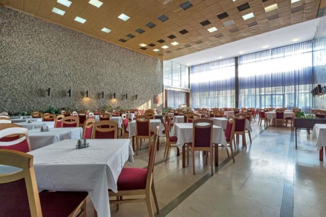 Hotel i depandanse Alem _restaurace