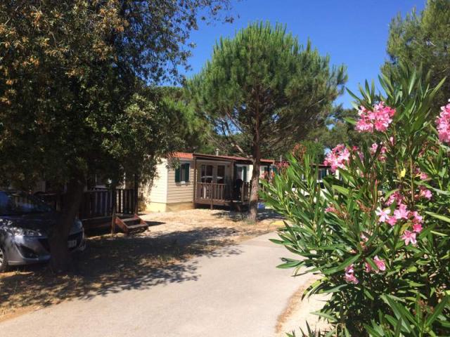 Mobilní domky v Zaton Holiday Resort