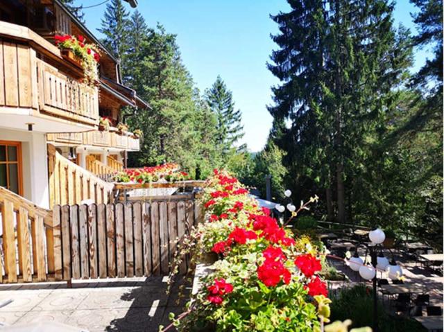 Ribno Alpine Hotel