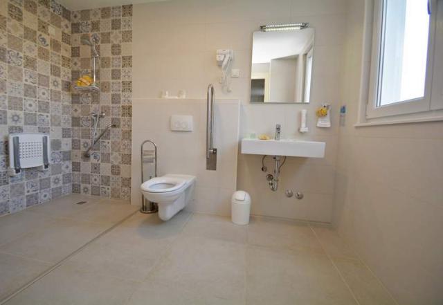 Hotel Borovnik, pokoj pro invaildy - vybavení koupelny a WC
