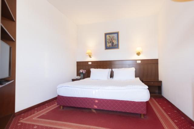 Hotel Čatež - suite