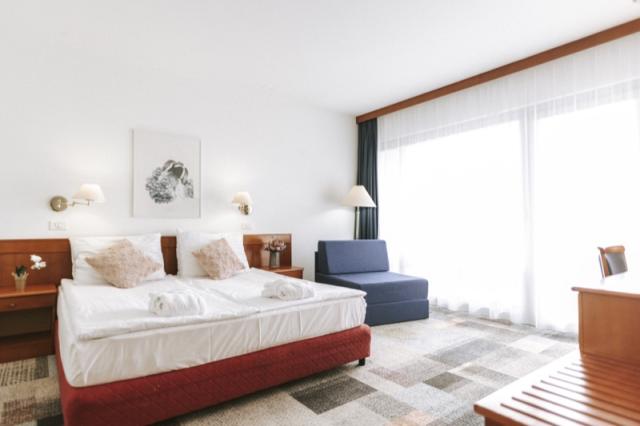 Suite hotel Toplice