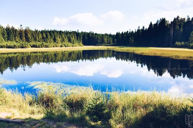Pohorje