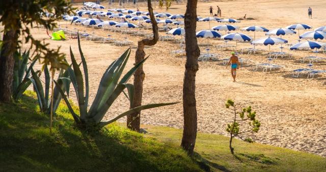 Lopar_beach_02