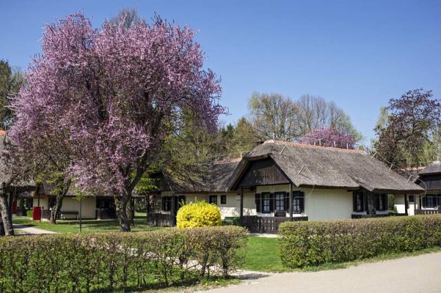 Bungalovy Terme 3000