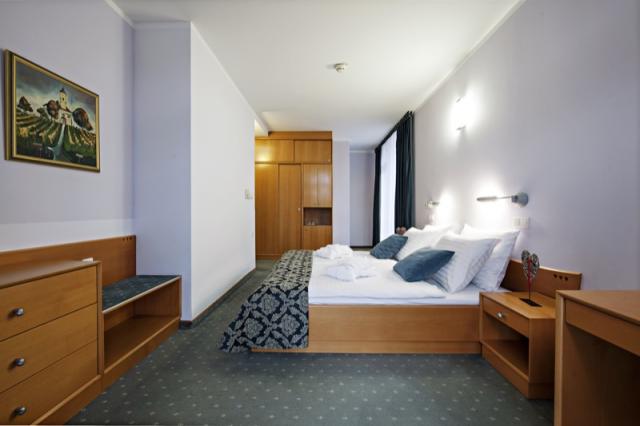 Hotel Izvir