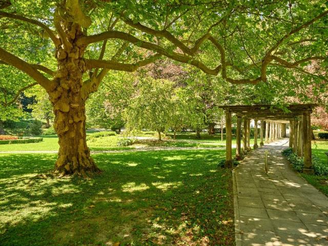 park