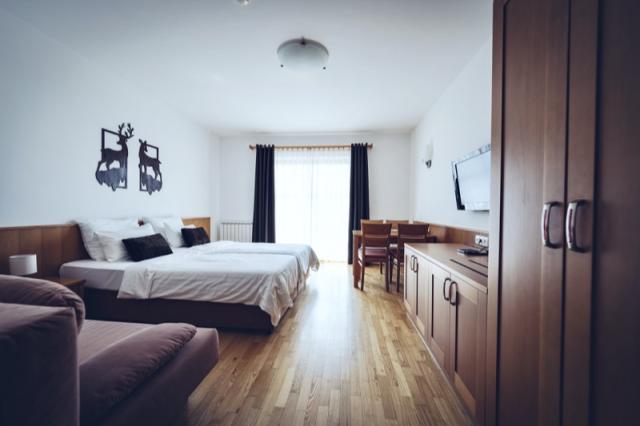 Wellness-Spa-Hotel-Bolfenk